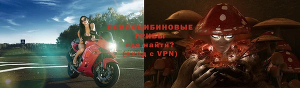 гидропоника Зеленодольск