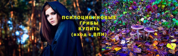 гидропоника Зеленодольск