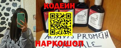 СК Кингисепп