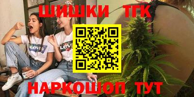 СК Кингисепп