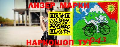 СК Кингисепп