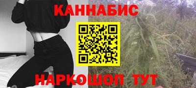 СК Кингисепп