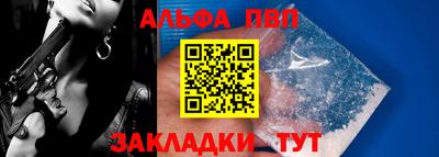 СК Кингисепп