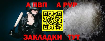 СК Кингисепп