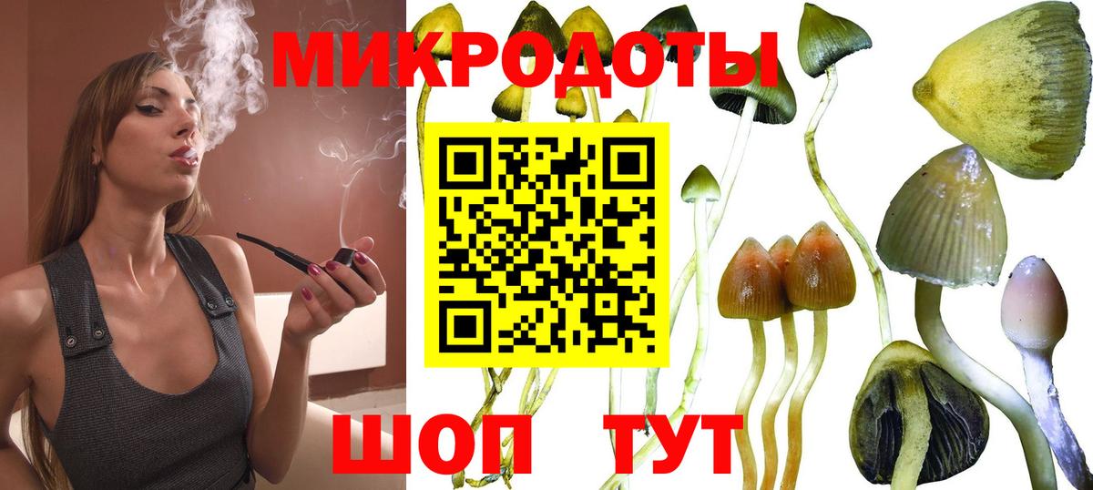 Галлюциногенные грибы мицелий  как найти   Галлюциногенные грибы Psilocybine cubensis  Саяногорск  Вход с VPN 