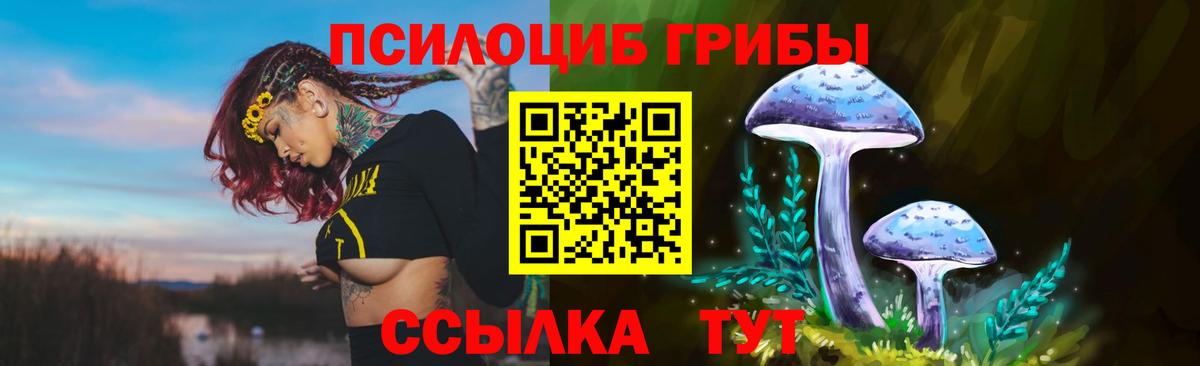 Псилоцибиновые грибы прущие грибы Саяногорск